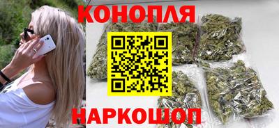 шишки Бийск