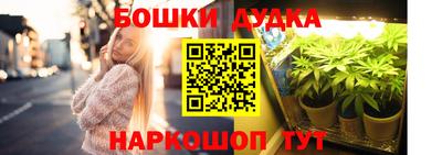шишки Бийск