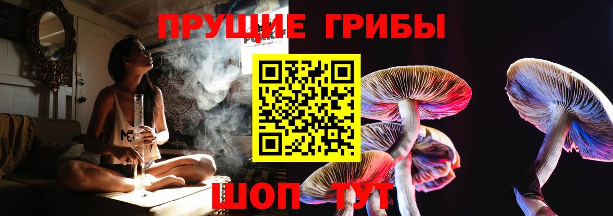 Керчь  Галлюциногенные грибы мицелий  Вход с VPN 